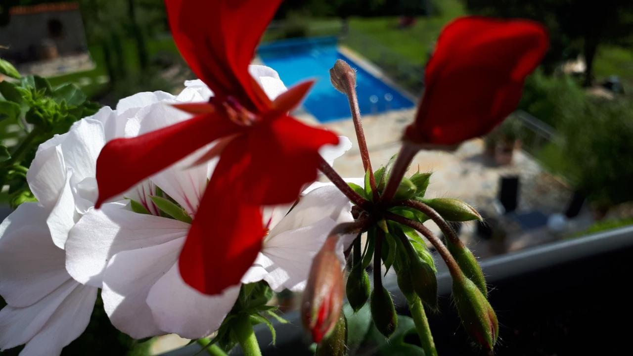 Ferienwohnung Pension Am Weinberg Mainstockheim Bagian luar foto